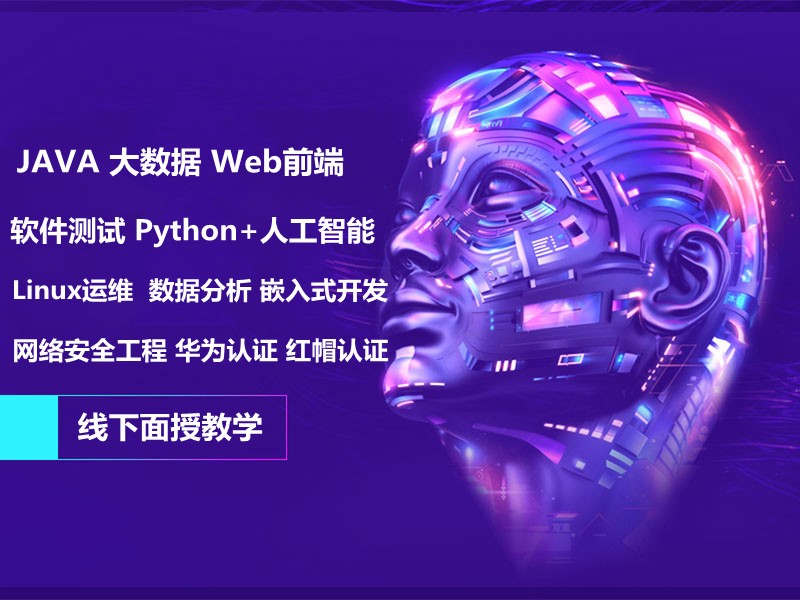 河源IT培训全景解析 全栈开发、软件测试、Java、大数据与人工智能路径指南